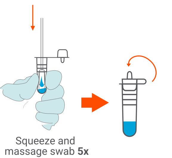 squeeze Buffer tube.png